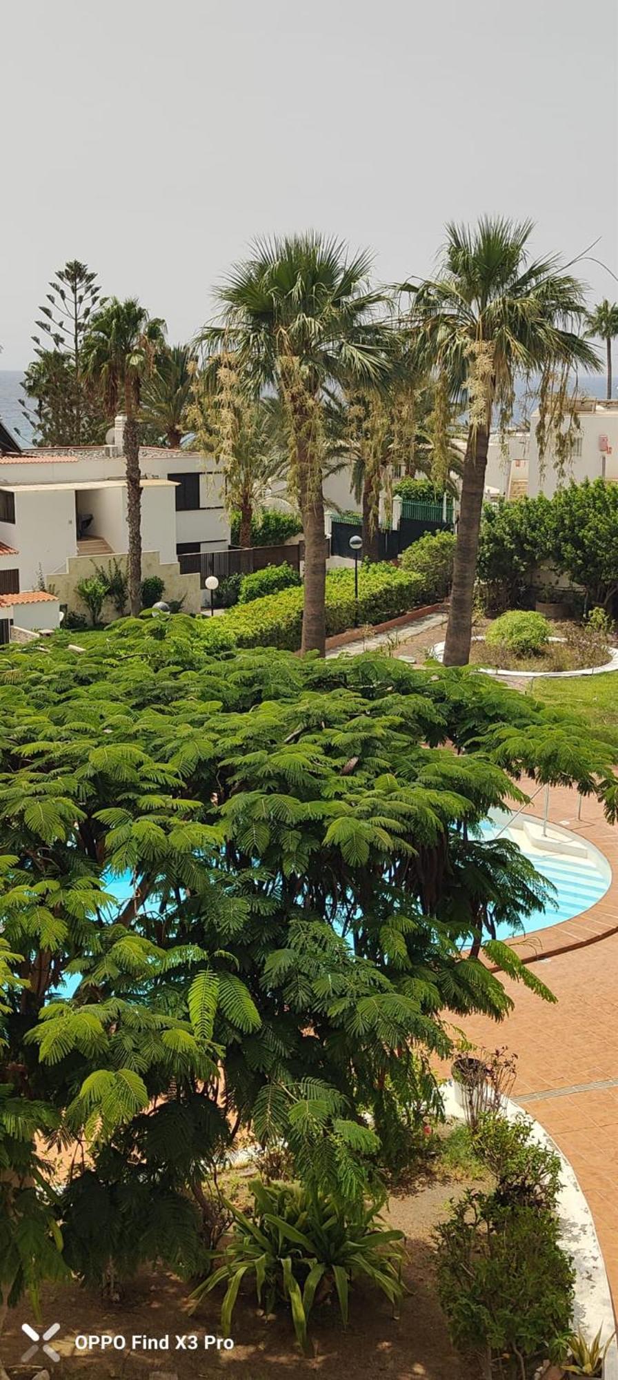 Sunrise Apartamentos San Bartolome de Tirajana  Exterior photo